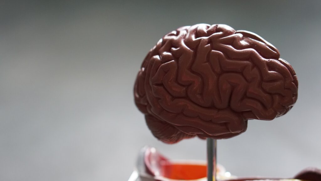 How to Recover Compensation for a Brain Injury in San Francisco